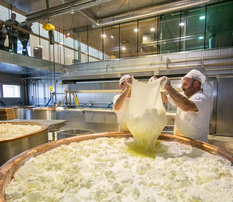 Graukäs schöpfen in der Schausennerei © Erlebnissennerei Mayrhofen