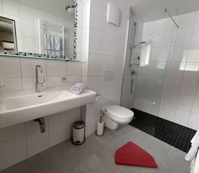 Badezimmer mit Dusche im Appartement Thomas - Landhaus Kumbichl